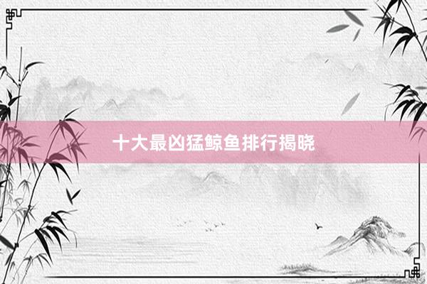 十大最凶猛鲸鱼排行揭晓