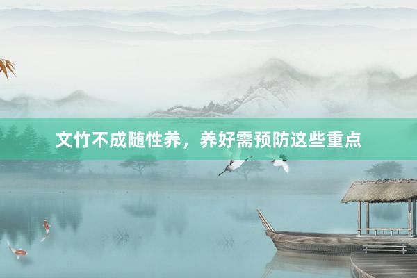 文竹不成随性养，养好需预防这些重点