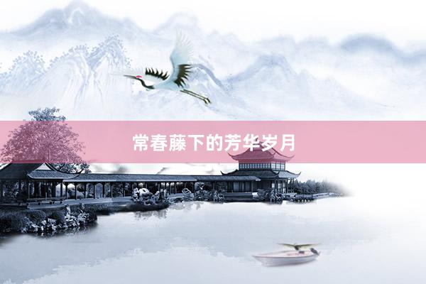 常春藤下的芳华岁月